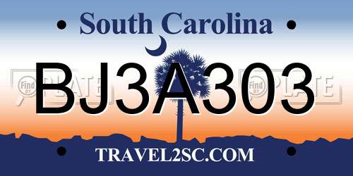 BJ3A303 South Carolina License Plate