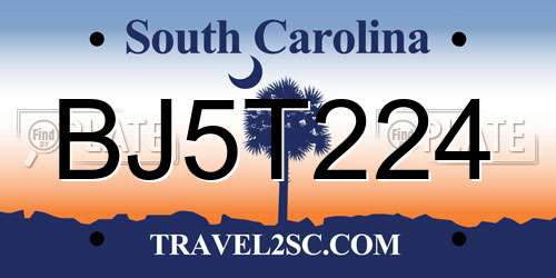 BJ5T224 South Carolina License Plate