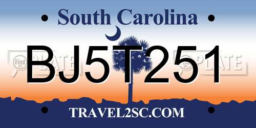 BJ5T251 South Carolina License Plate