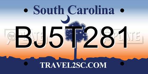 BJ5T281 South Carolina License Plate