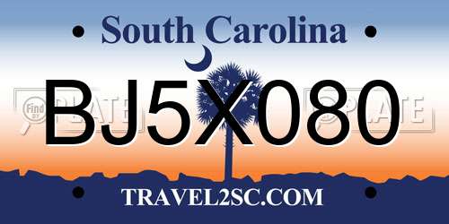 BJ5X080 South Carolina License Plate