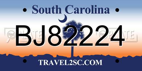 BJ82224 South Carolina License Plate