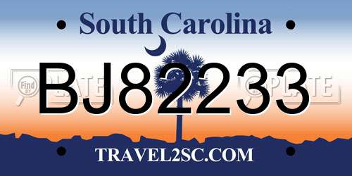 BJ82233 South Carolina License Plate