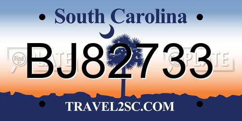 BJ82733 South Carolina License Plate