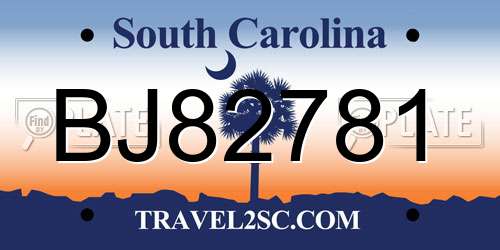 BJ82781 South Carolina License Plate
