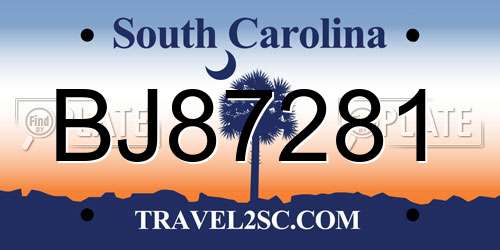 BJ87281 South Carolina License Plate