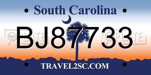 BJ87733 South Carolina License Plate