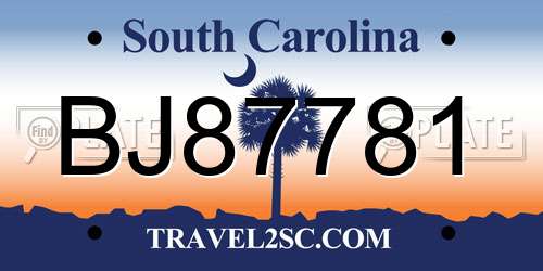 BJ87781 South Carolina License Plate