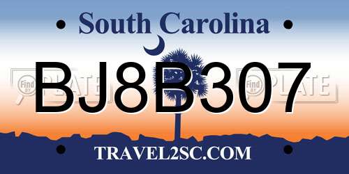 BJ8B307 South Carolina License Plate