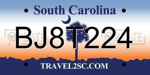 BJ8T224 South Carolina License Plate