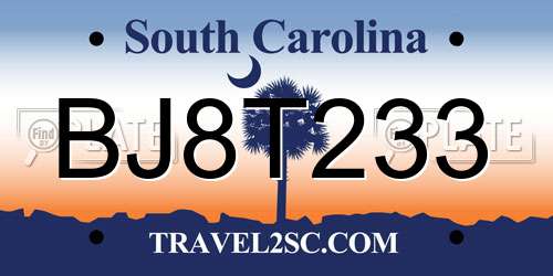 BJ8T233 South Carolina License Plate