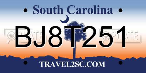 BJ8T251 South Carolina License Plate