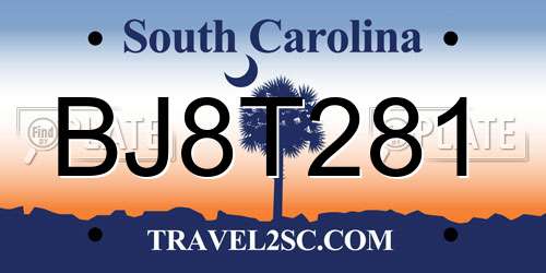 BJ8T281 South Carolina License Plate