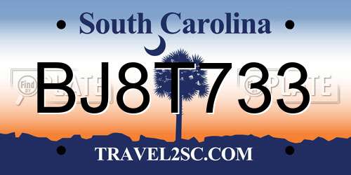BJ8T733 South Carolina License Plate