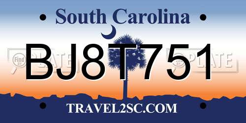 BJ8T751 South Carolina License Plate