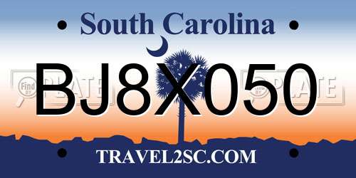 BJ8X050 South Carolina License Plate