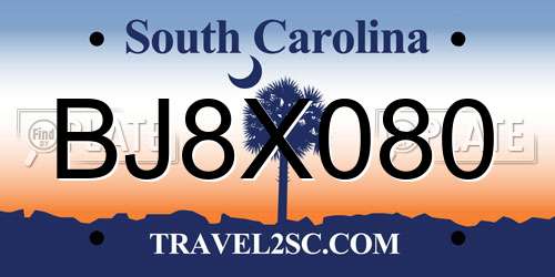 BJ8X080 South Carolina License Plate