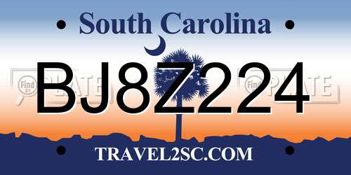 BJ8Z224 South Carolina License Plate