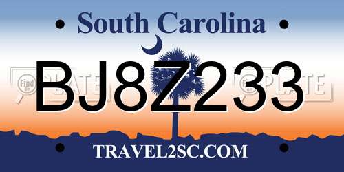 BJ8Z233 South Carolina License Plate