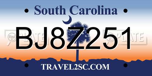 BJ8Z251 South Carolina License Plate