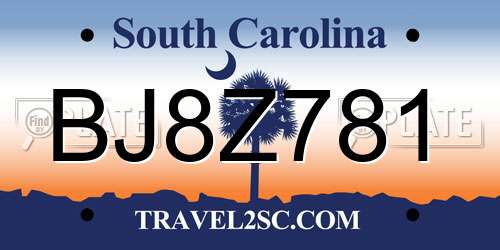 BJ8Z781 South Carolina License Plate