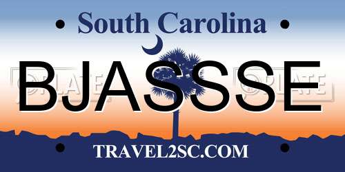 BJASSSE South Carolina License Plate