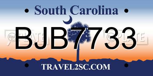 BJB7733 South Carolina License Plate