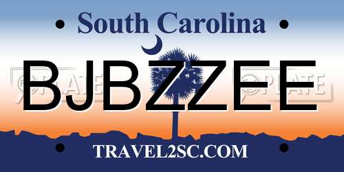 BJBZZEE South Carolina License Plate