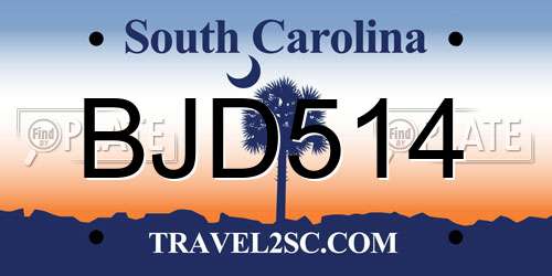 BJD514 South Carolina License Plate