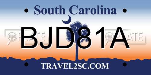 BJD81A South Carolina License Plate