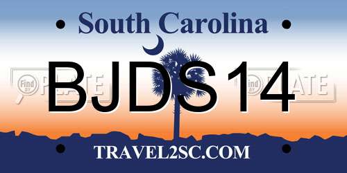 BJDS14 South Carolina License Plate