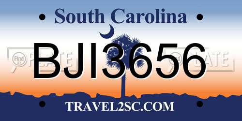 BJI3656 South Carolina License Plate