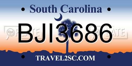 BJI3686 South Carolina License Plate