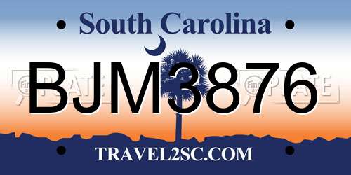BJM3876 South Carolina License Plate