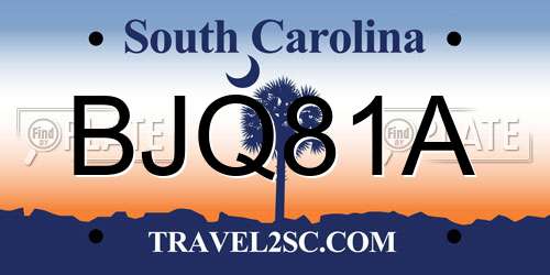 BJQ81A South Carolina License Plate