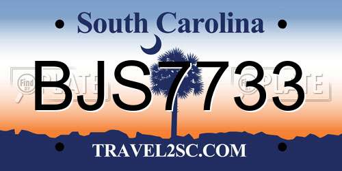 BJS7733 South Carolina License Plate