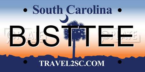 BJSTTEE South Carolina License Plate