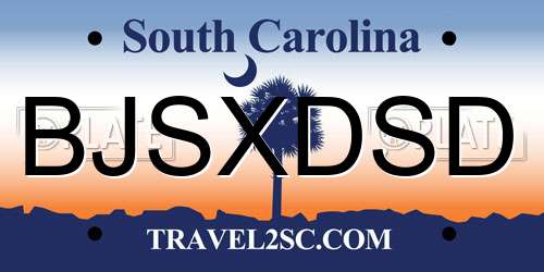 BJSXDSD South Carolina License Plate
