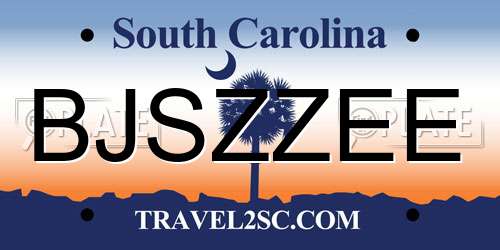 BJSZZEE South Carolina License Plate