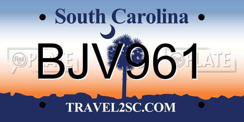 BJV961 South Carolina License Plate