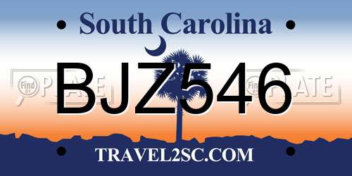 BJZ546 South Carolina License Plate