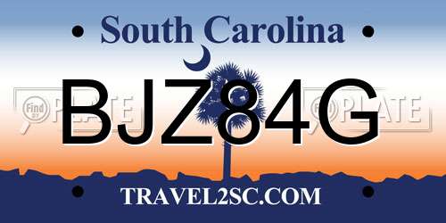 BJZ84G South Carolina License Plate