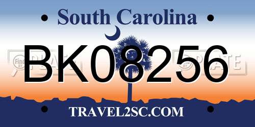 BK08256 South Carolina License Plate