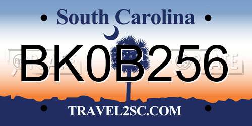 BK0B256 South Carolina License Plate