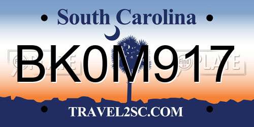 BK0M917 South Carolina License Plate