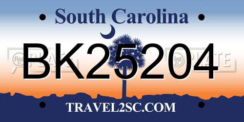 BK25204 South Carolina License Plate