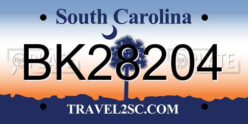 BK28204 South Carolina License Plate