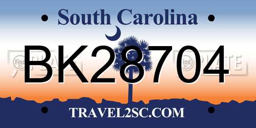 BK28704 South Carolina License Plate