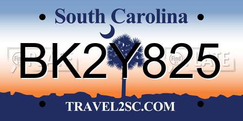 BK2Y825 South Carolina License Plate