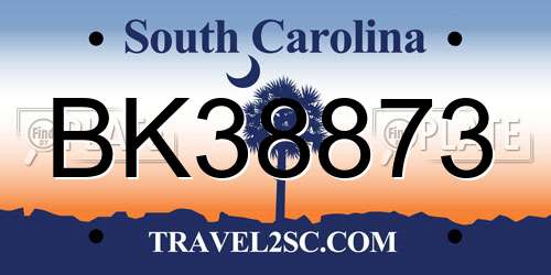 BK38873 South Carolina License Plate